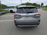 Used 2022 Ford Escape SE w/ Cold Weather Package image 4