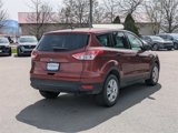 Used 2016 Ford Escape S image 4