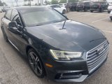 Used 2017 Audi A4 2.0T Premium Plus w/ Premium Plus Package image 5