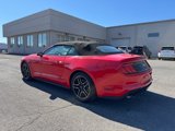 Used 2023 Ford Mustang Premium image 5