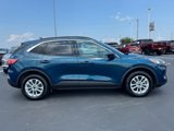 Used 2020 Ford Escape SE image 2