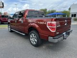 Used 2014 Ford F150 XLT w/ Equipment Group 302A Luxury image 4