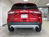Used 2021 Ford Escape SE w/ Convenience Package image 4
