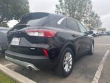Used 2020 Ford Escape SE image 2