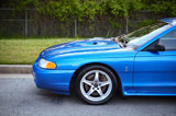 Used 1998 Ford Mustang Cobra image 6