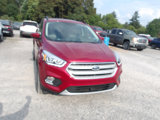 Used 2019 Ford Escape SEL image 2