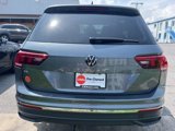 Used 2024 Volkswagen Tiguan SE image 3