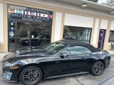 Used 2023 Ford Mustang Premium image 4