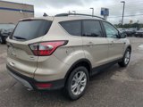 Certified 2018 Ford Escape SEL image 5