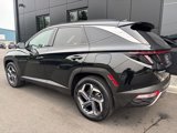Used 2024 Hyundai Tucson Limited image 3