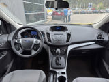 Used 2014 Ford Escape SE image 3