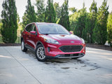 Used 2021 Ford Escape SE w/ Convenience Package image 2