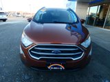 Used 2020 Ford EcoSport SE image 5