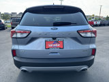 Used 2022 Ford Escape SE w/ Cold Weather Package image 6