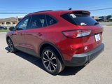 Used 2021 Ford Escape SE w/ SE Sport Appearance Package image 3