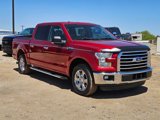 Used 2016 Ford F150 XLT w/ Equipment Group 302A Luxury image 3