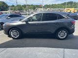 Used 2020 Ford Escape SE image 5