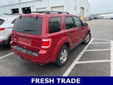 Used 2011 Ford Escape XLT w/ 202A Rapid Spec Order Code image 3