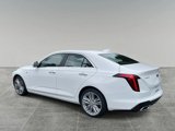 New 2025 Cadillac CT4 Premium Luxury image 3