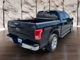 Used 2016 Ford F150 XLT w/ Equipment Group 302A Luxury image 5