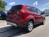 Used 2019 Ford Escape SE image 6