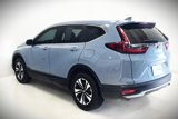 Used 2022 Honda CR-V Special Edition image 4