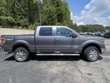 Used 2014 Ford F150 XLT w/ Equipment Group 302A Luxury image 2