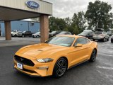 Used 2022 Ford Mustang Coupe w/ Equipment Group 101A image 2