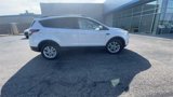 Used 2017 Ford Escape SE w/ SE Leather Comfort Package image 2