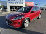 Used 2021 Ford Escape SE w/ Convenience Package image 2