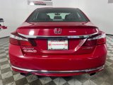 Used 2016 Honda Accord Sport image 4