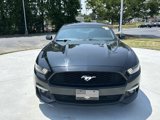 Used 2015 Ford Mustang Coupe w/ Ecoboost Performance Package image 3