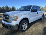 Used 2013 Ford F150 XLT image 3