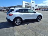 Used 2022 Ford Escape SEL image 3