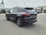 Used 2024 Ford Escape ST-Line image 3
