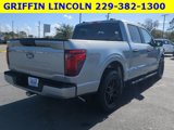New 2024 Ford F150 STX w/ STX Black Appearance Package image 4