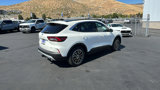 New 2024 Ford Escape SE w/ PHEV Premium Package image 3