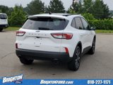 Used 2022 Ford Escape SE w/ SE Sport Appearance Package image 4