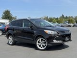 Used 2013 Ford Escape Titanium w/ Parking Technology Pkg image 2