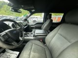 Used 2019 Ford F150 XLT w/ Equipment Group 302A Luxury image 4