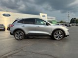 Used 2022 Ford Escape SE w/ SE Sport Appearance Package image 6