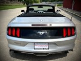 Used 2015 Ford Mustang Premium image 4