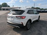 Used 2020 Ford Escape SEL image 4
