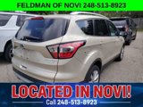Used 2017 Ford Escape Titanium image 4