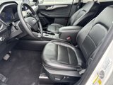 Used 2022 Ford Escape SEL image 5