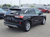 Certified 2022 Ford Escape SE w/ Convenience Package image 5