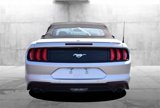 Used 2019 Ford Mustang Premium image 6