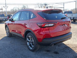 New 2025 Ford Escape ST-Line w/ Tech Pack #1 image 4