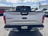 Used 2016 Ford F150 XLT w/ Equipment Group 302A Luxury image 4
