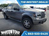 Used 2014 Ford F150 STX w/ Equipment Group 201A Mid image 3